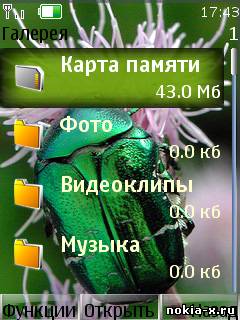 Bug