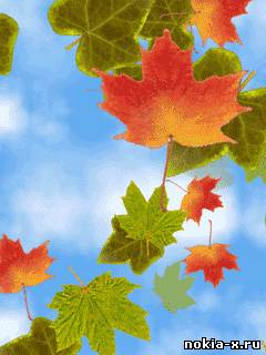 Скачать Autumn leaf бесплатно