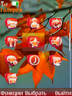 Autumn leaf